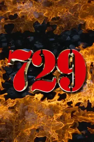 729 by MOD Elektronik