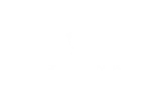 Penguin King